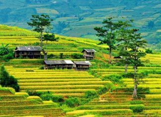 Chia sẻ kinh nghiệm du lịch mùa thu, top 5 tọa độ phía Bắc vạn người mê Chia sẻ kinh nghiệm du lịch mùa thu, top 5 tọa độ phía Bắc vạn người mê