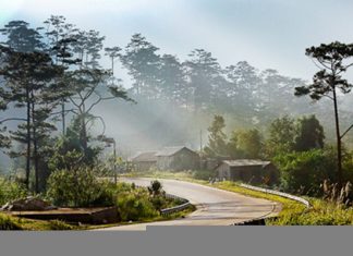 Du lịch Đà Lạt mùa hè tự túc có điều gì thú vị hấp dẫn du khách Du lịch Đà Lạt mùa hè tự túc có điều gì thú vị hấp dẫn du khách