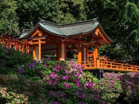 Vẻ đẹp của đền Nezu - “viên ngọc quý