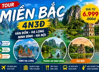Tour Miền Bắc 4N3Đ: Hành Trình Ngắn – Khám Phá Trọn Vẹn Hạ Long – Ninh Bình – Hà Nội